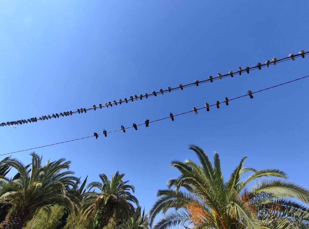 Photograph by Ирина Алексеевская