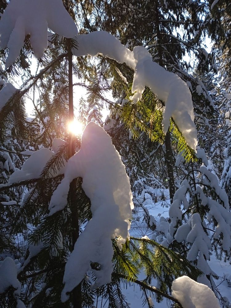 Photograph by Светлана Олина