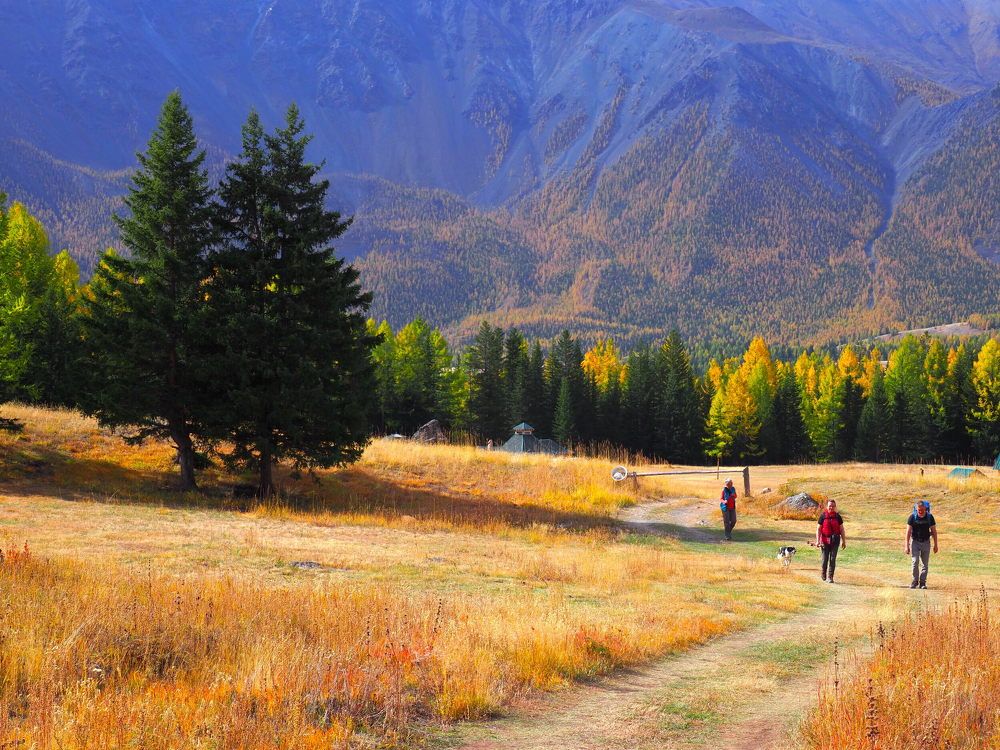 Photograph by Екатерина Шмелева