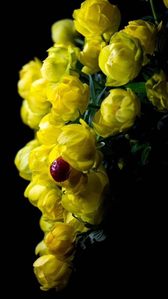 Photograph by Юлия