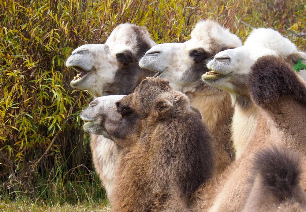 Photograph by Екатерина Шмелева