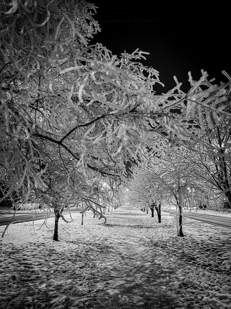 Photograph by Анастасия