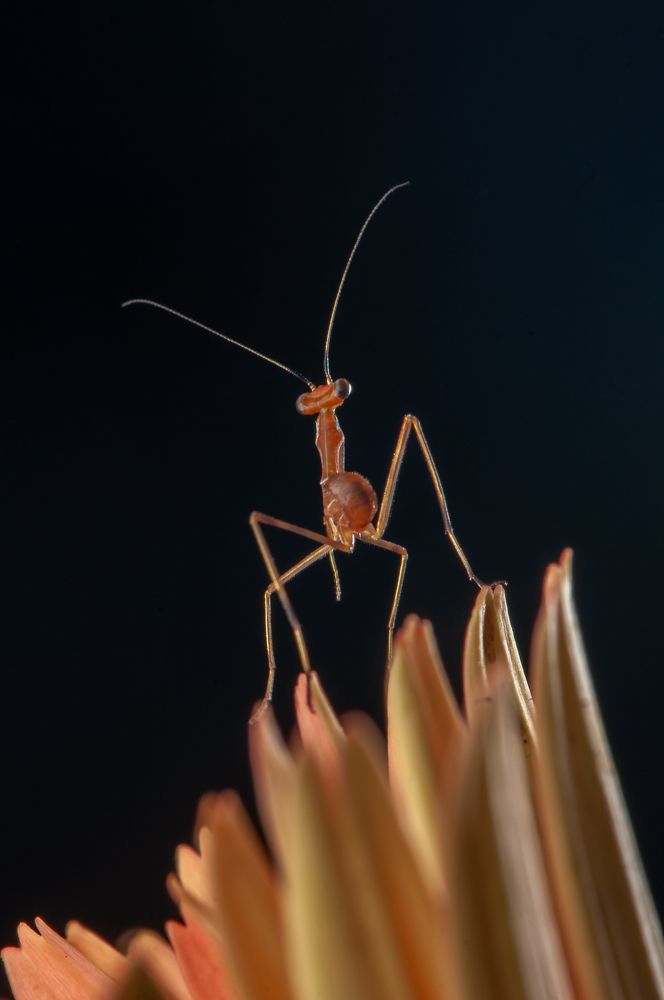 Photograph by Chamara Sulakkhana Polwatta Siriyalage