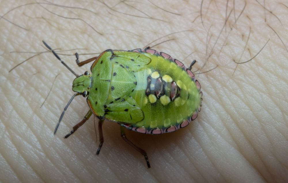 Photograph by Кривченко Павел