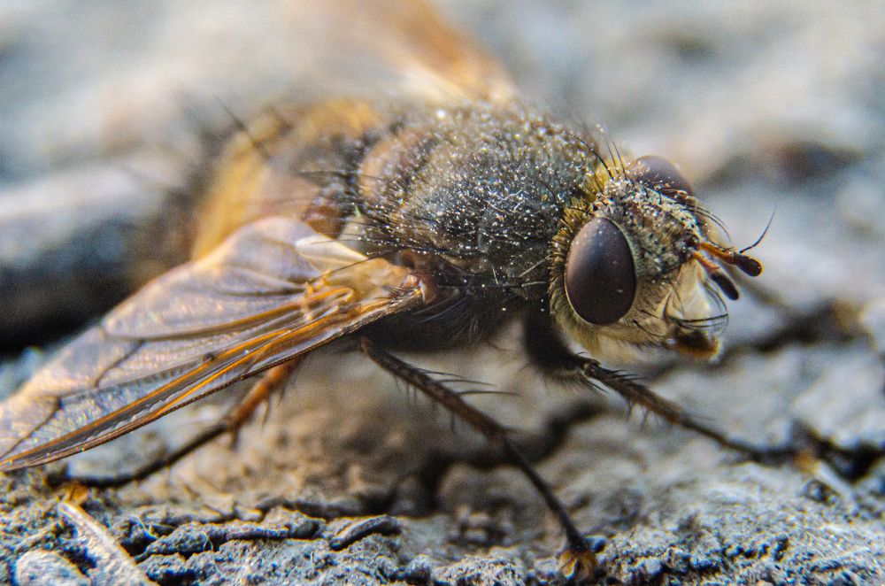 Photograph by Саша Литвин