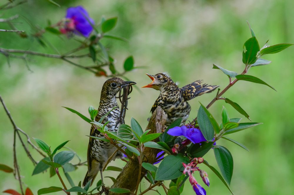 Photograph by arif indrianto