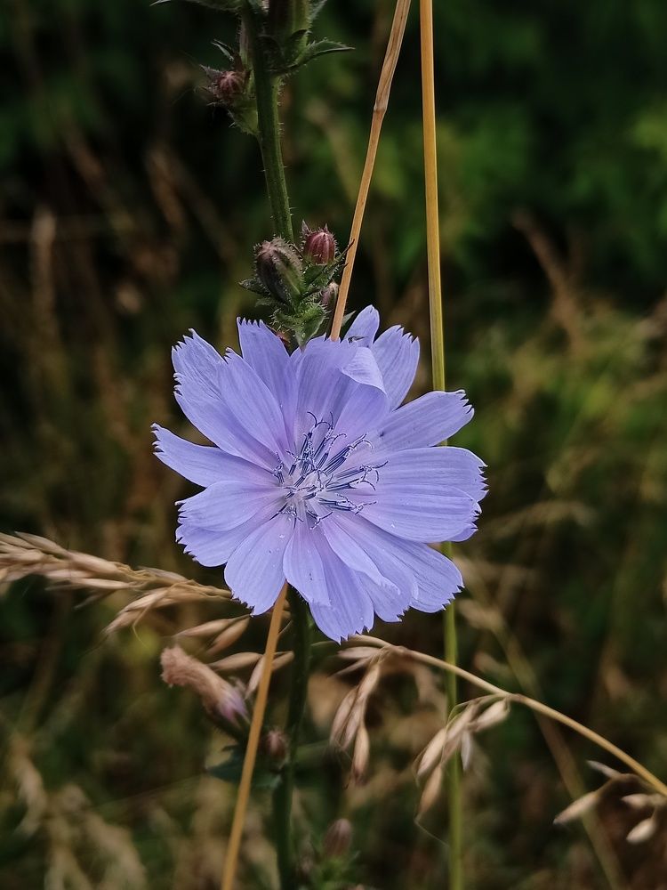 Photograph by Екатерина Дзюба