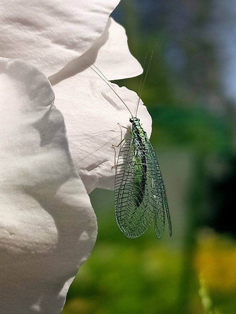 Photograph by Екатерина Дзюба