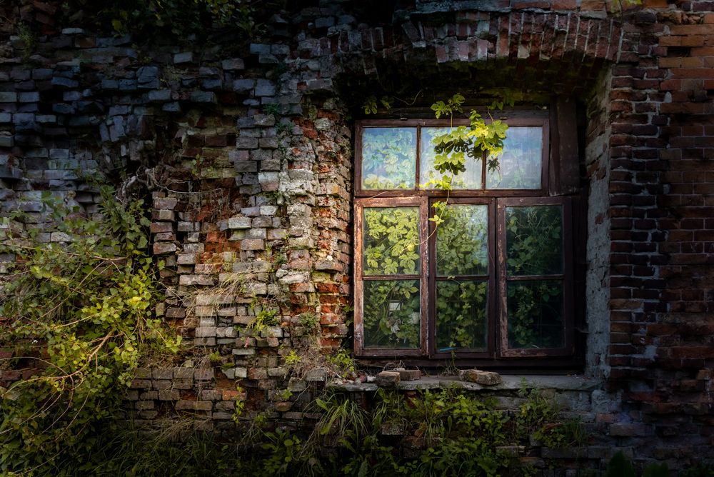 Photograph by Светлана Крук - Перепелкина