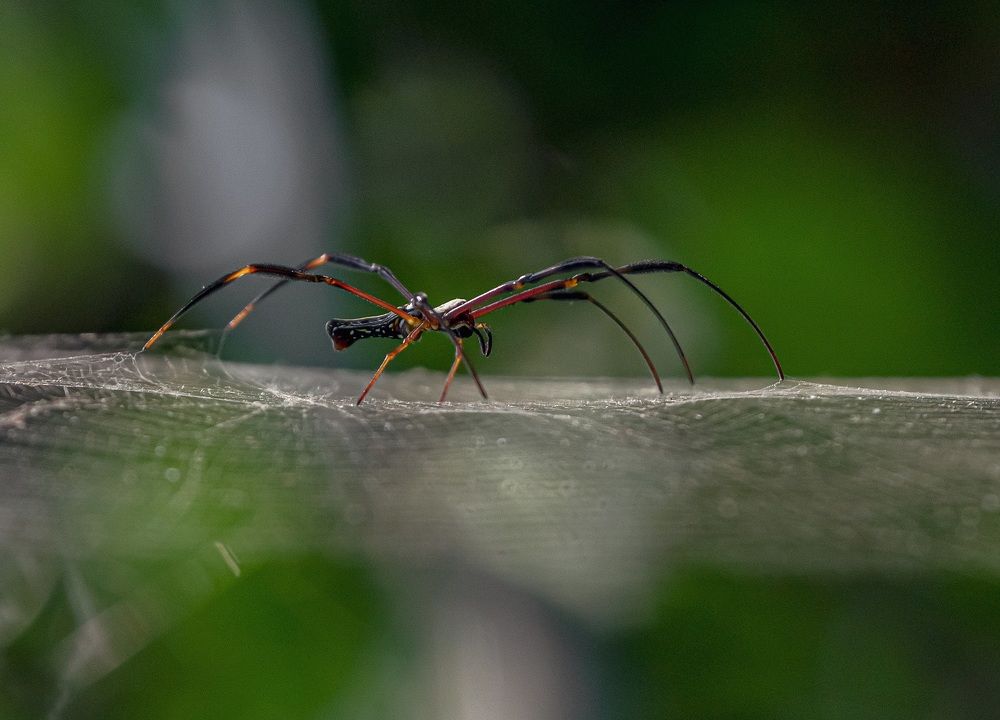 Photograph by Kshitij Patle