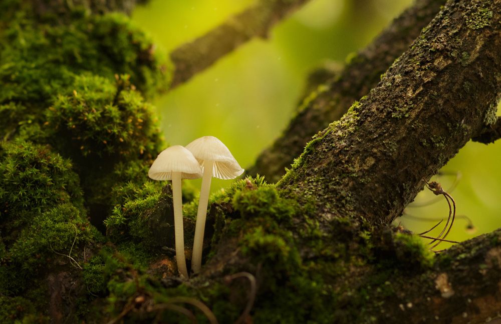 Photograph by Анна Селезнева