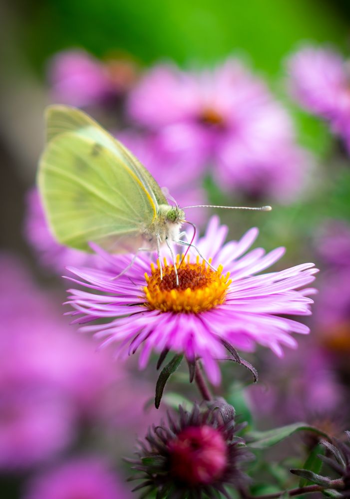 Photograph by Артём Буц