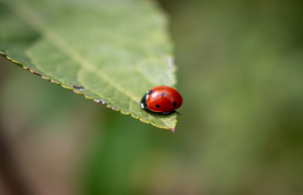 Photograph by Артём Буц