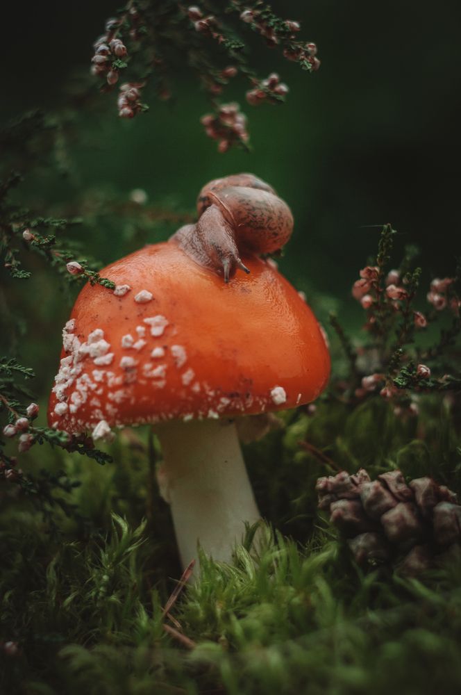 Photograph by Динара Зуйкова