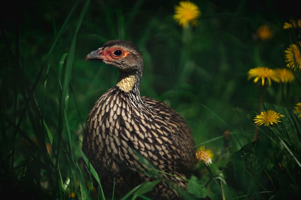 Photograph by Константин