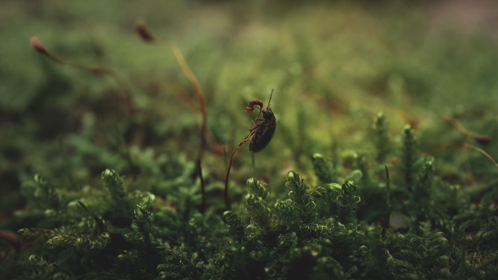 Photograph by Константин