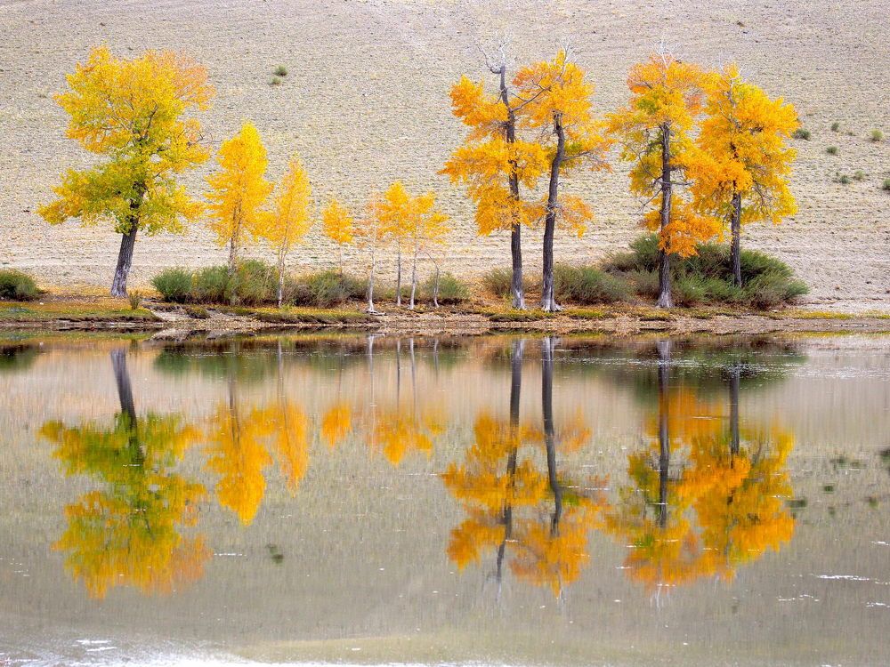 Photograph by Екатерина Шмелева