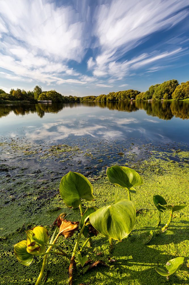 Photograph by Симонян Сергей