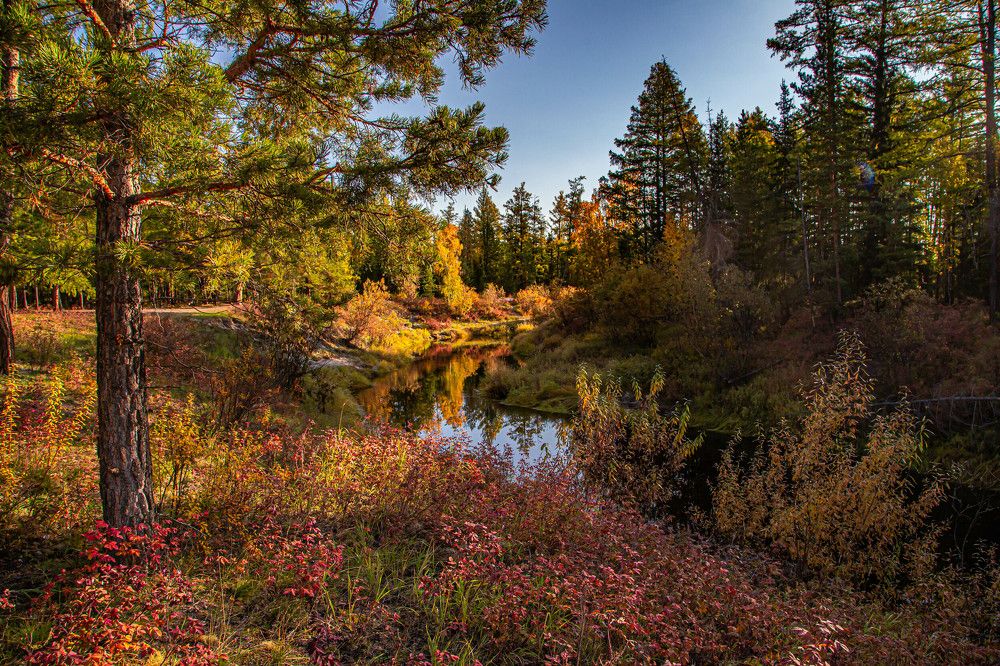 Photograph by Галина Мозолевская