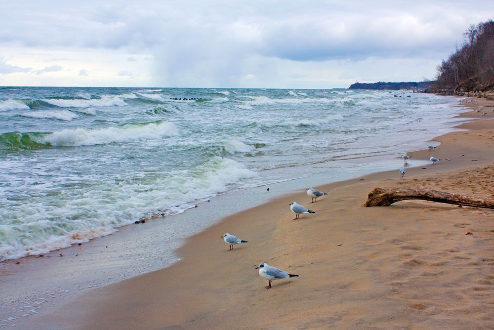 Photograph by Мария Самоловова