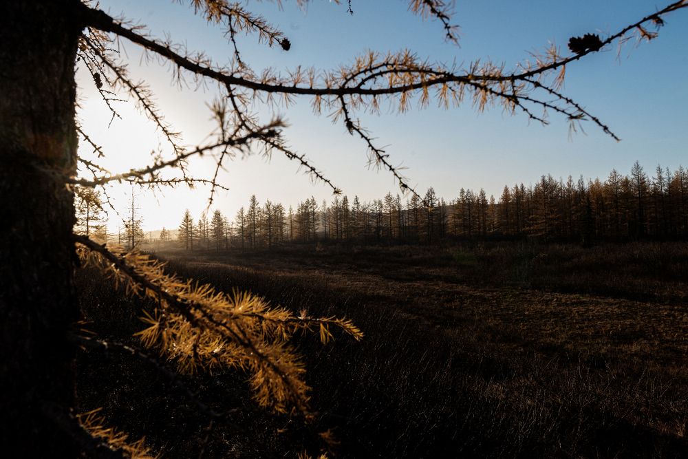 Фотография автора Пикина Татьяна