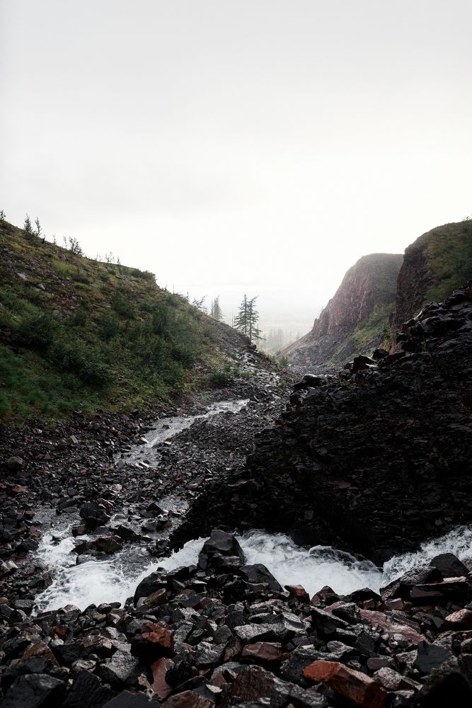 Фотография автора Пикина Татьяна