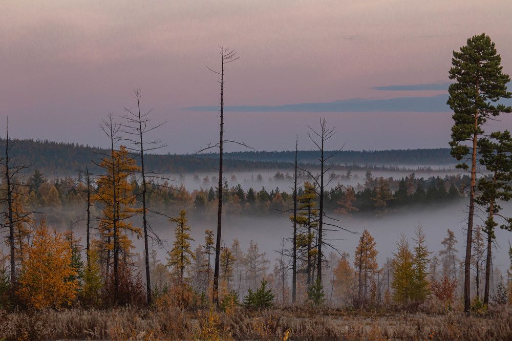 Photograph by Галина Мозолевская