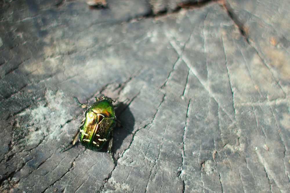 Photograph by Олеся Кучерова