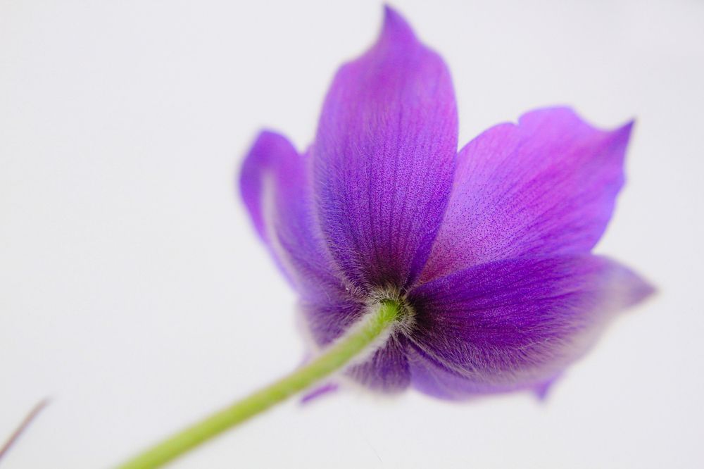 Photograph by Олеся Кучерова