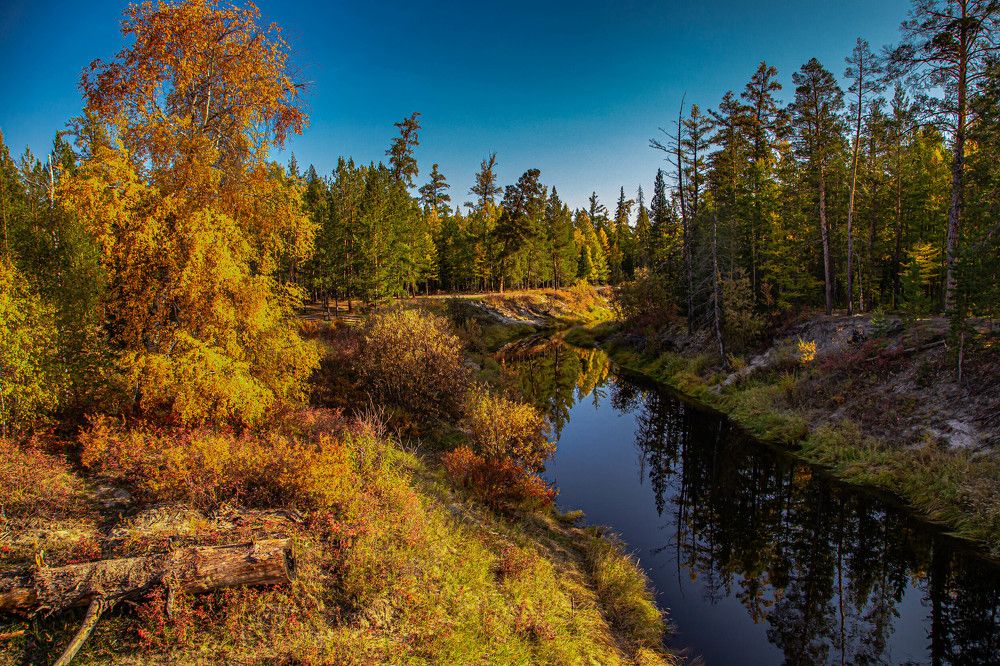Photograph by Галина Мозолевская