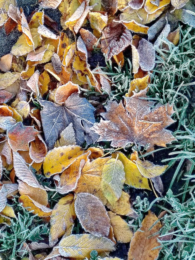 Photograph by Светлана Шмигельская