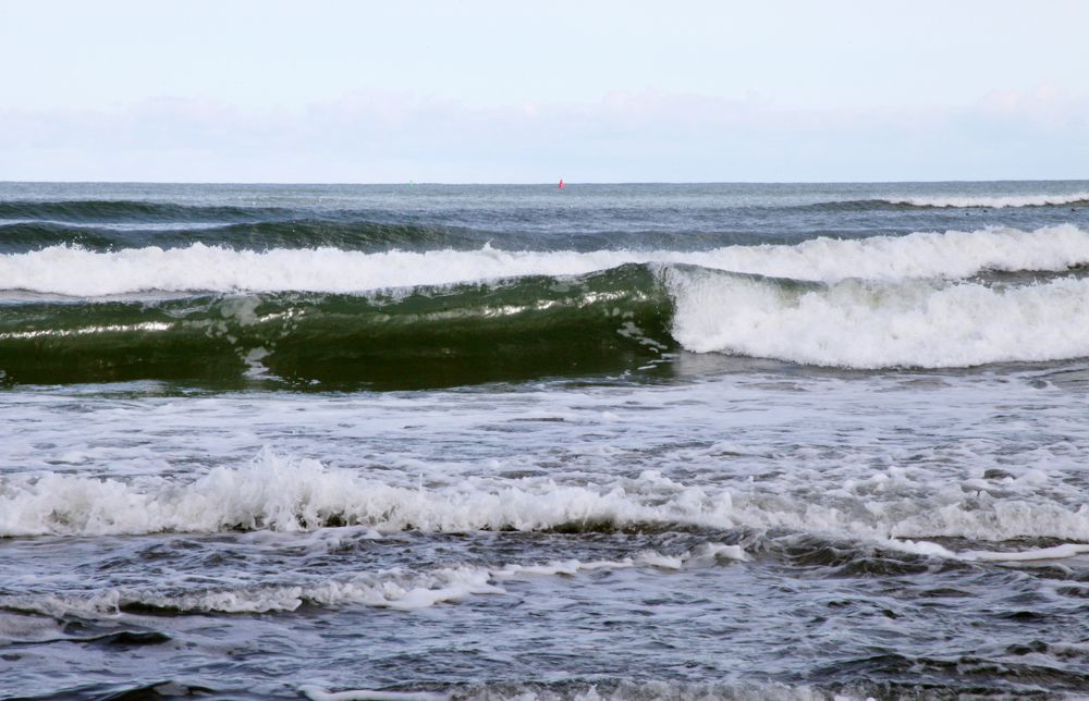 Photograph by Мария Самоловова