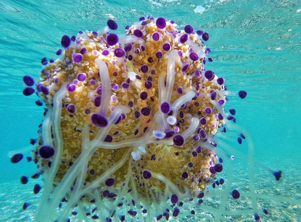 Photograph by Roula Silintzi