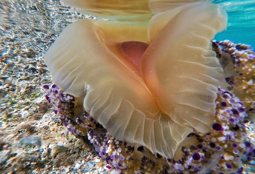 Photograph by Roula Silintzi