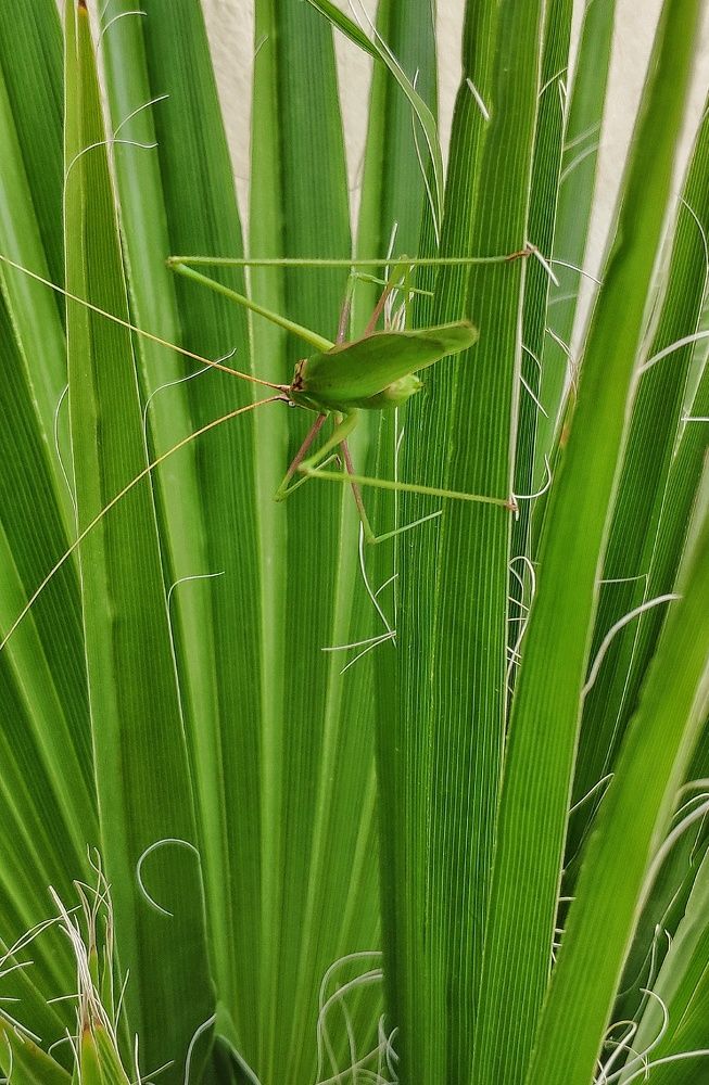 Photograph by Roula Silintzi