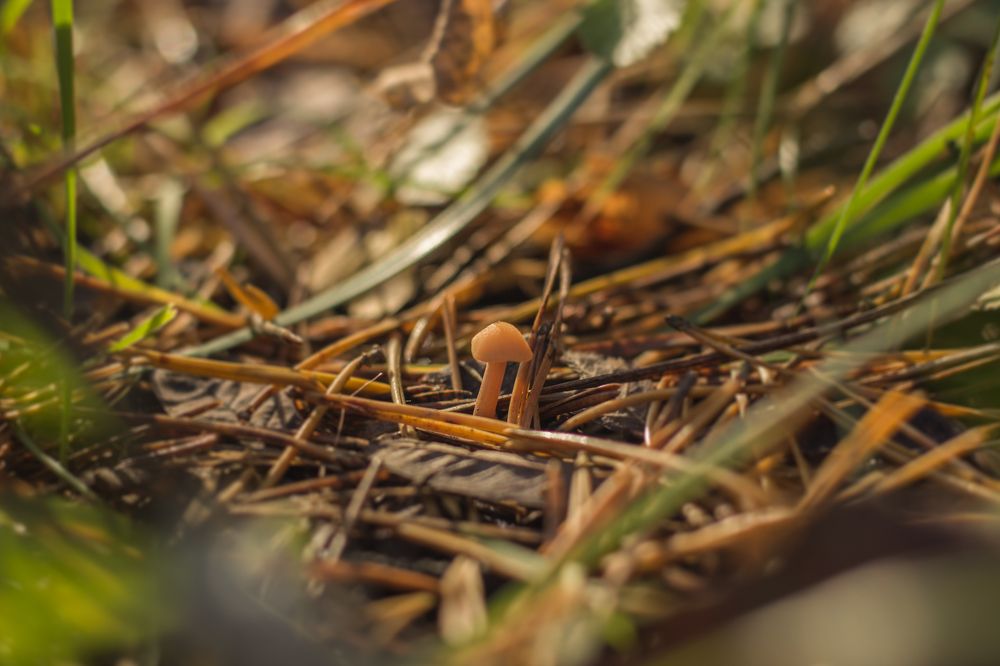 Photograph by Екатерина Мартынова