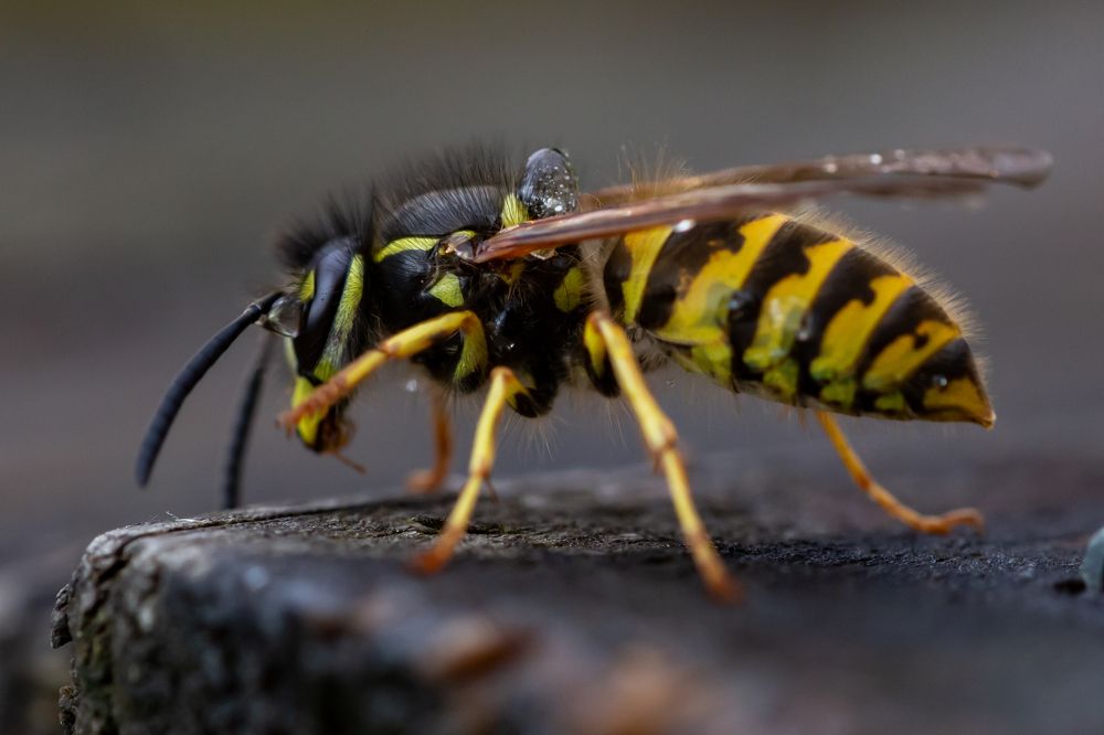 Photograph by Иван Гаврелюк