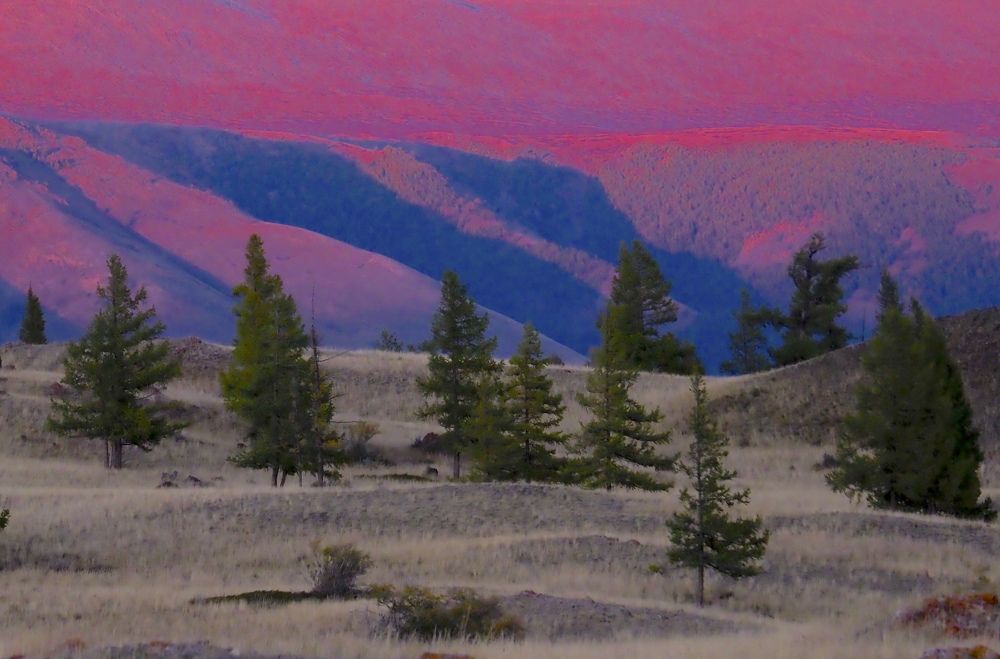 Рериховский Алтай