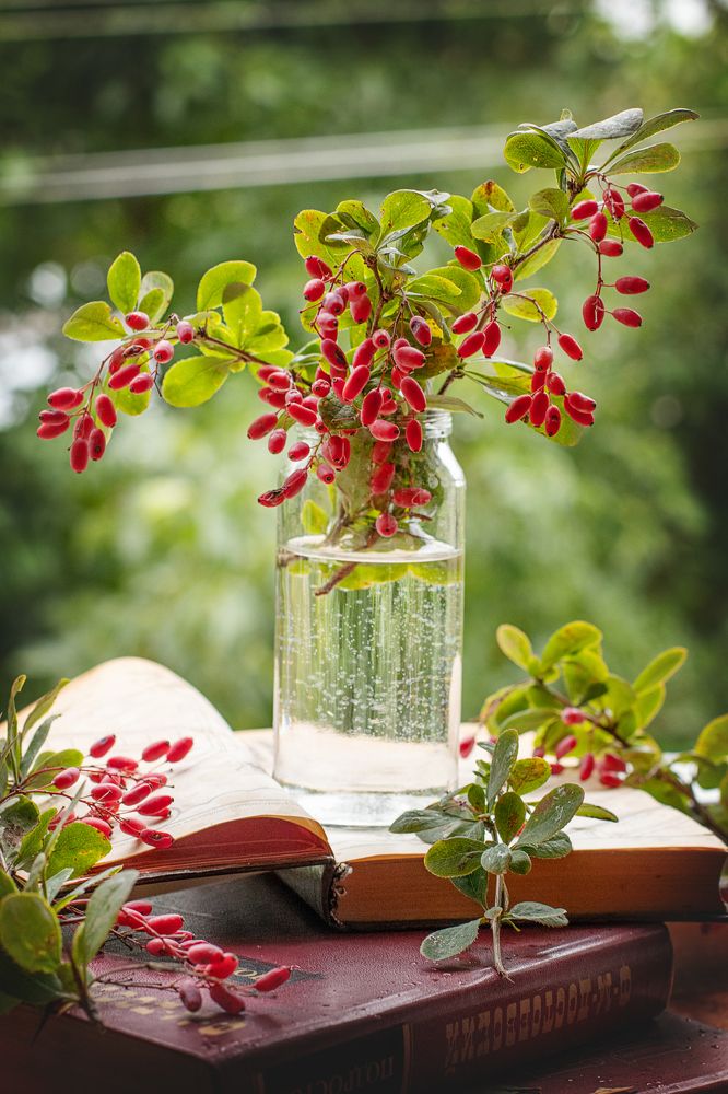 Наступила осень