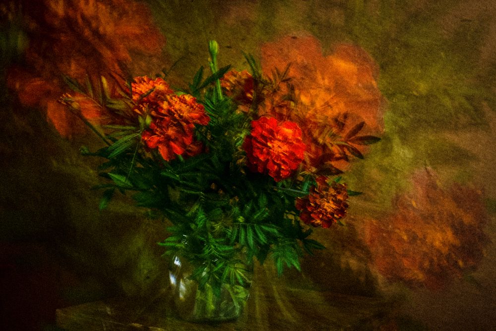 Photograph by Адиля Голубева