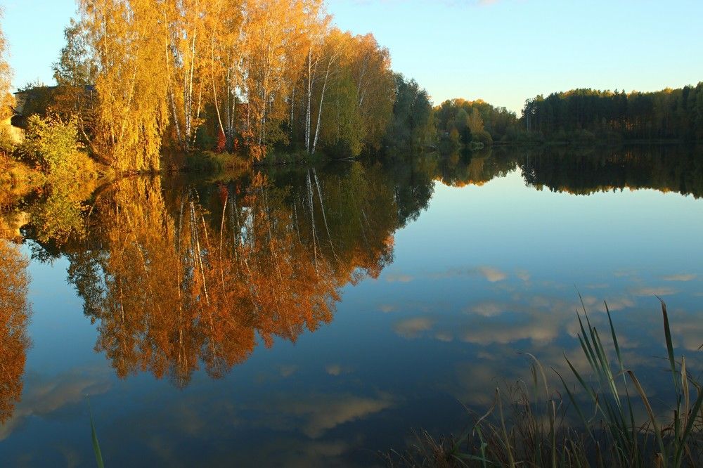 Осень на Токовом озере.
