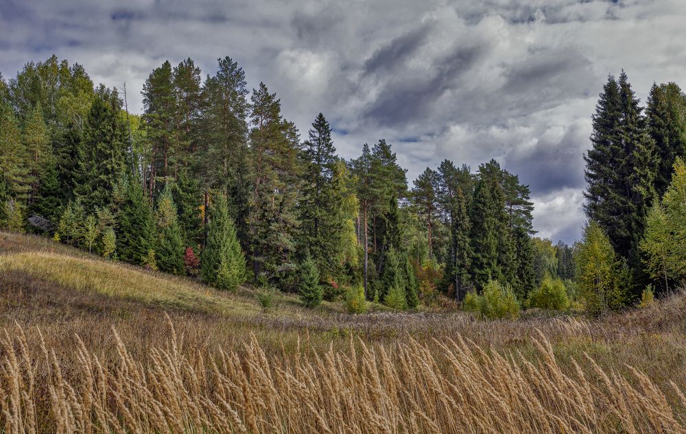Фотография автора Александр Сальников