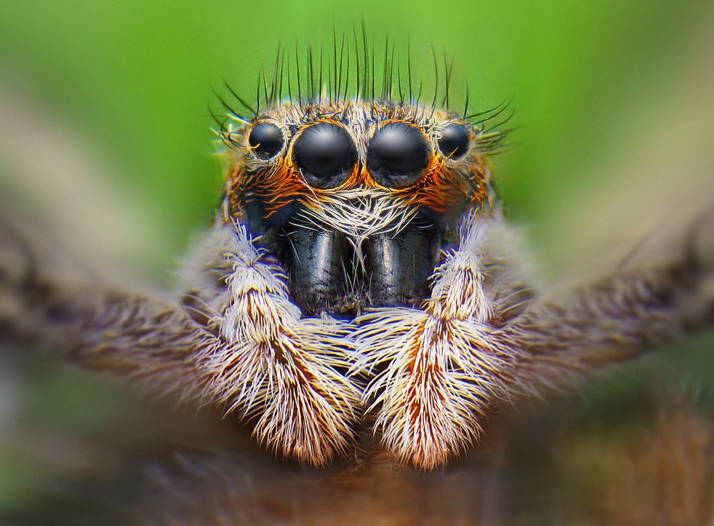 Photograph by Eduardo Modolo