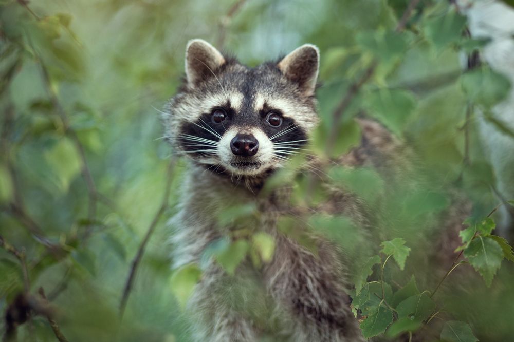 Photograph by Ирина Зайцева