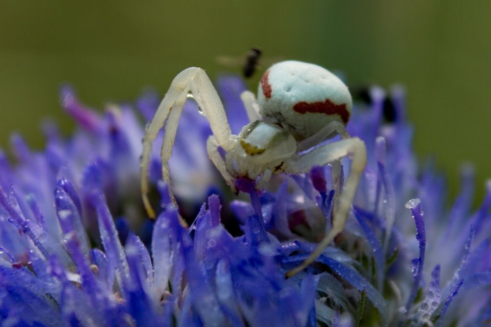 Космический мир