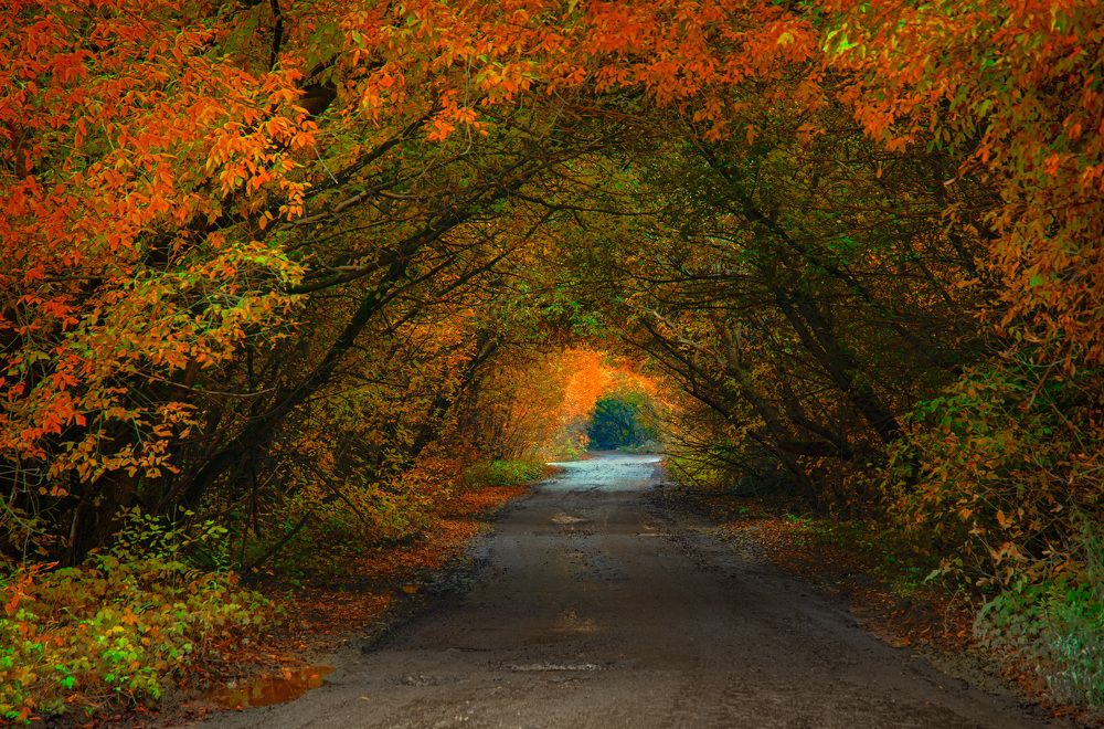 Photograph by Лев Постнов