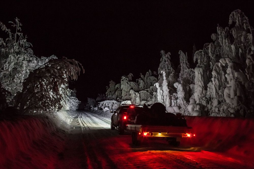 Фотография автора Павел Жигалов