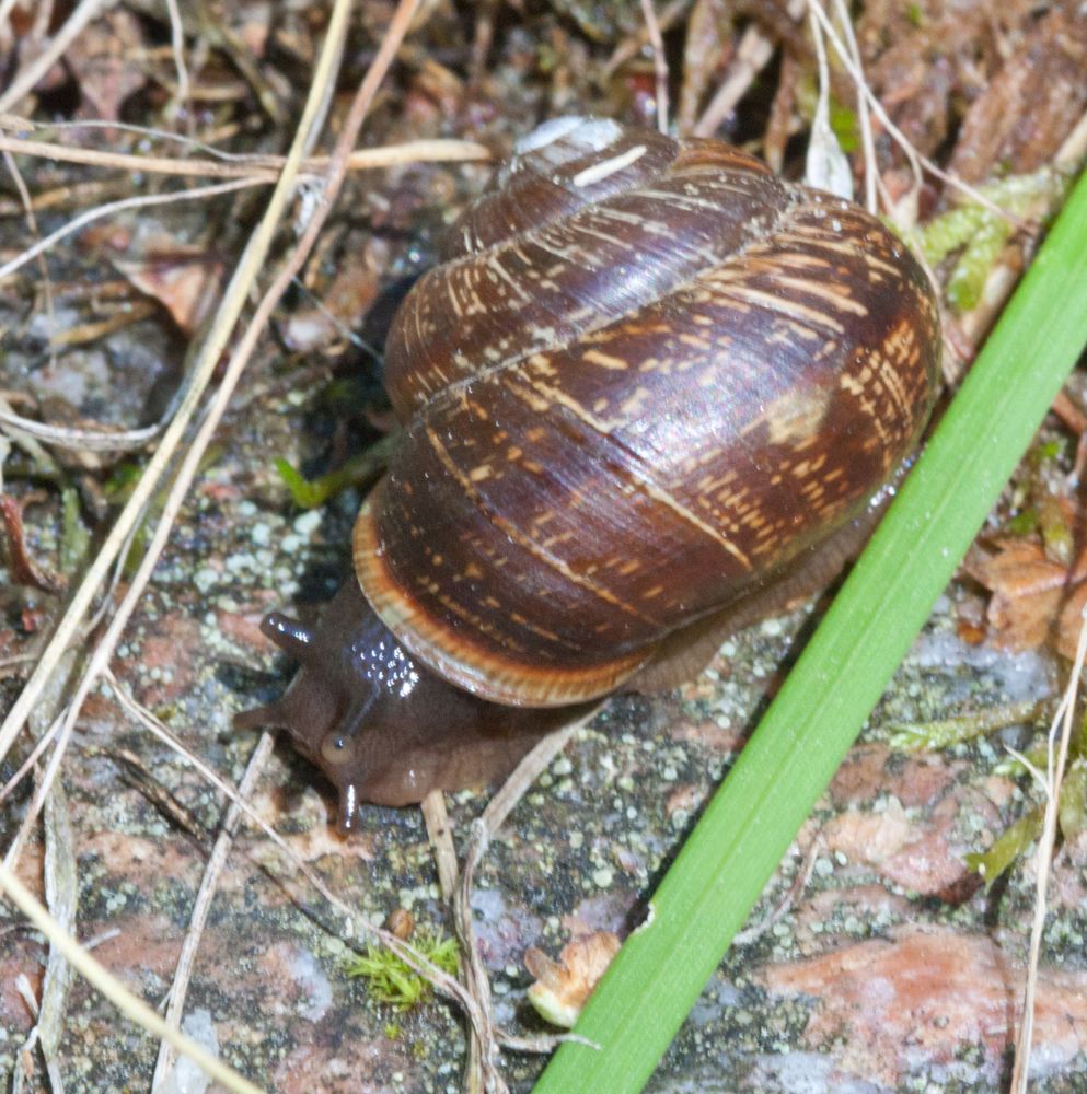 Photograph by Мария Самоловова