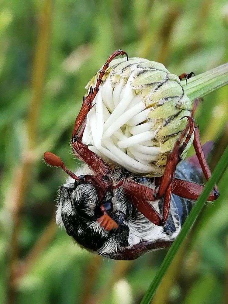Photograph by Виктор Шубин