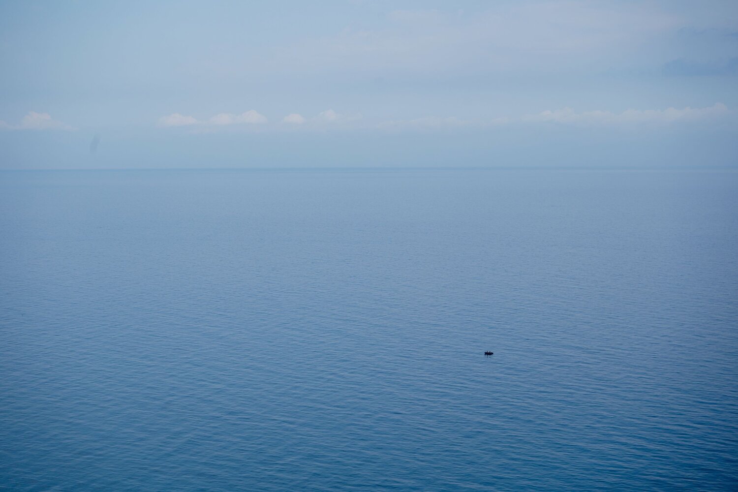 Photo #6531459